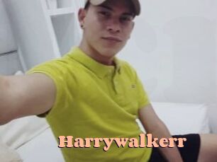 Harrywalkerr Chatte Rasée