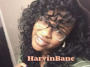HarvinBane Chatte Rasée
