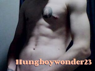 Hungboywonder23