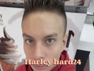 Harley_hard24