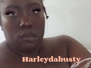 Harleydabusty