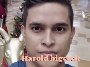Harold_bigcock