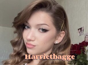 Harrietbagge