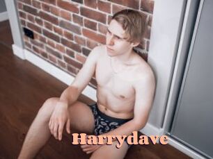 harrydave Chatte Rasée