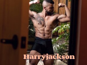 harryjackson Chatte Rasée