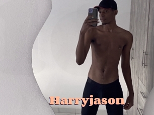 harryjason Chatte Rasée