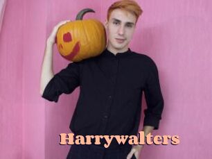 Harrywalters