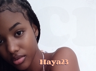 Haya23