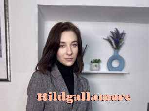 Hildgallamore