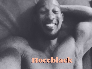 hoccblack Chatte Rasée