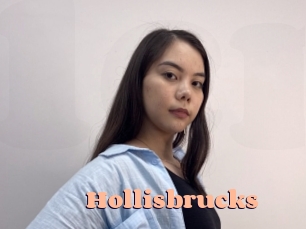 Hollisbrucks