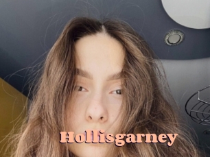 Hollisgarney