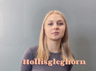 Hollisgleghorn