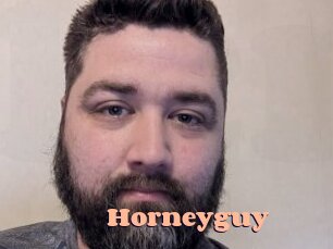 Horneyguy
