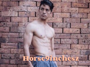 horse9inchesz Chatte Rasée