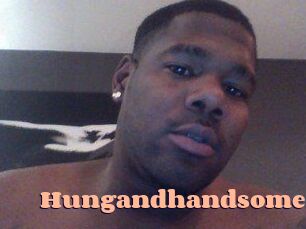 Hungandhandsome