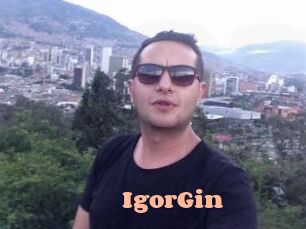 IgorGin
