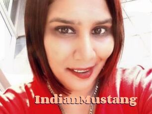 IndianMustang