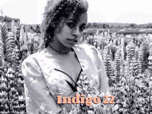 Indigo_22