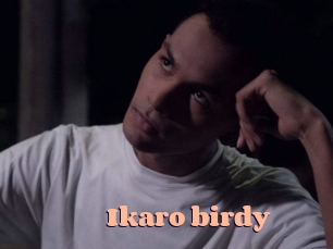 Ikaro_birdy