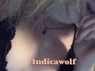 Indicawolf