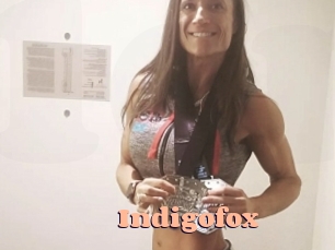 Indigofox