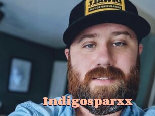 indigosparxx Chatte Rasée