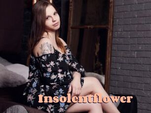 insolentflower Chatte Rasée