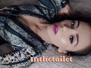 Inthetoilet
