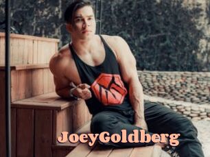 JoeyGoldberg