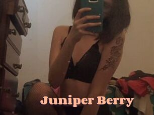 Juniper_Berry