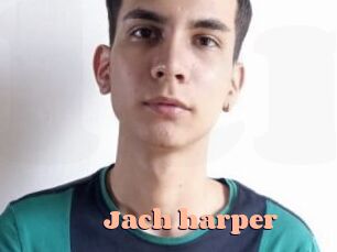 jach_harper Chatte Rasée