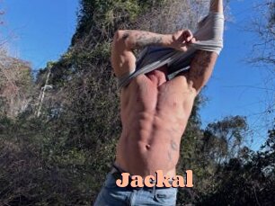 Jackal