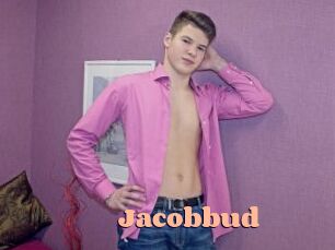 Jacobbud