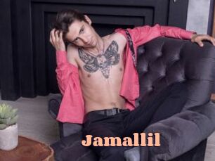 jamallil Chatte Rasée