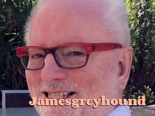 jamesgreyhound Chatte Rasée