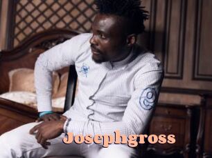 josephgross Chatte Rasée