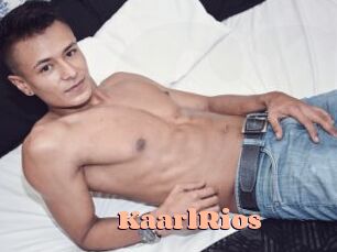 KaarlRios Chatte Rasée