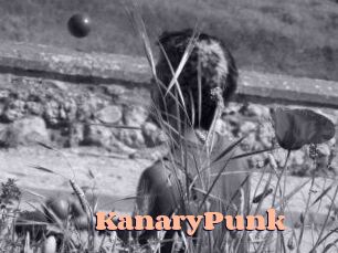 KanaryPunk
