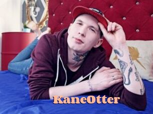 KaneOtter Chatte Rasée