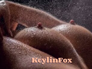 KeylinFox Chatte Rasée
