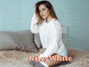 KileyWhite Chatte Rasée