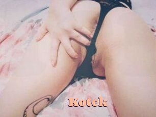 Kotek