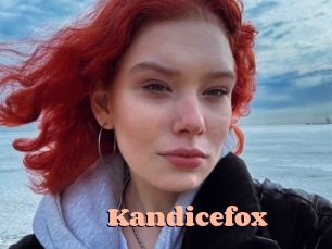 Kandicefox