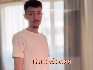 kanehoss Chatte Rasée