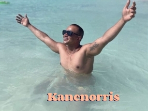 kanenorris Chatte Rasée