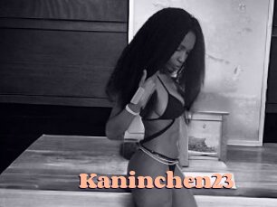 Kaninchen23
