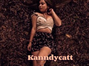 Kanndycatt