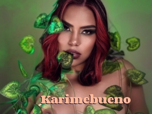 Karimebueno