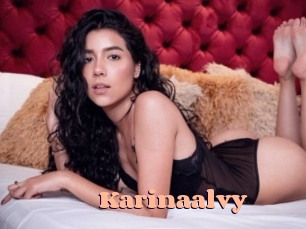 Karinaalvy